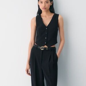 Aritzia Wilfred Pacino vest